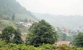 خرید زمین جنگلی در چمستان