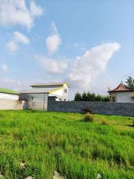 خرید و فروش باغ و زمین چمستان