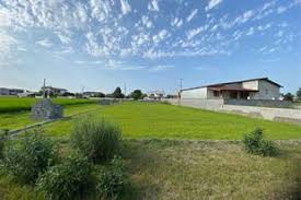 خرید زمین در همصفا