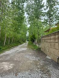 خرید زمین متراژ بالا در هم صفا چمستان